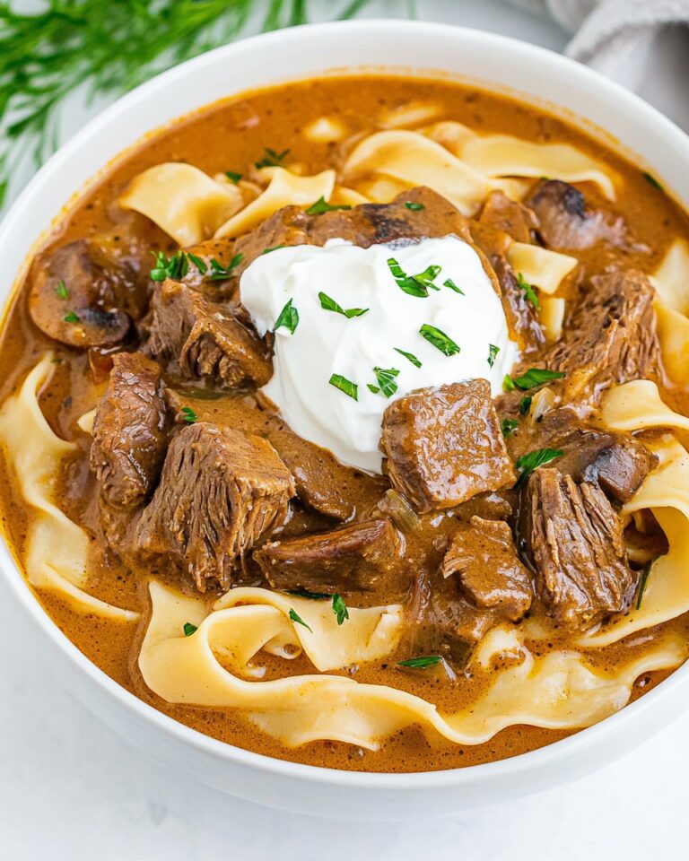 Beef Stroganoff Soup