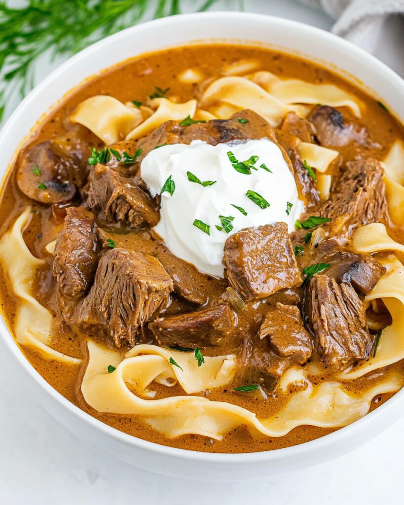 Beef Stroganoff Soup